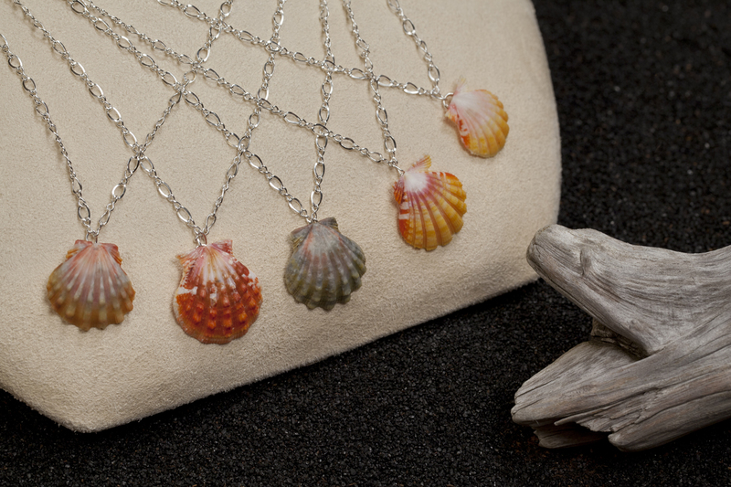 Photo ofSterlilng Silver Sunrise Shell Necklace